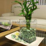 Glaze Surface Nature Stone Used for Vase Filler thumbnail-1