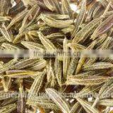 Cumin Seed Gujarat thumbnail-3