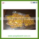 Hebei Hot Sale Frozen Peeled Chestnut thumbnail-3