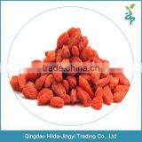 2016 High Quality Goji Berry Ningxia Goji Berry thumbnail-1