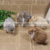 Bulk Hony Samll Animal Sounds Toys thumbnail-1