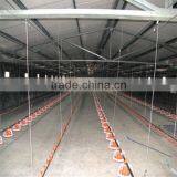 Automatic Poultry Broiler Farm Feeding System
