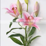 wholesale price fresh cut flower fresh cut lily flower export to all over the world