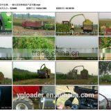 9QSZ-3000 Green(yellow) Forage Harvester Cutting for Green Soiling thumbnail-5