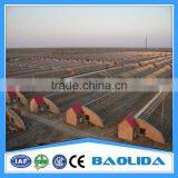 Hot Sale Poly Tunnel Greenhouse for Sale thumbnail-2