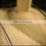 Soybean Meal thumbnail-1
