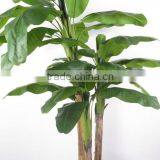 Indoor Artificial Banana Tree Bonsai Potted Plants for Sale thumbnail-3