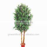 GNW G75 Nurseries Plants and Trees Hot Sale in China 2014 Artificial Home Plastic Plant thumbnail-1