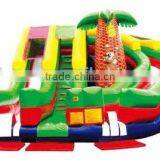 Inflatable Jumping Bouncer,Bouncer Baby,Giant Inflatable Bouncer thumbnail-1
