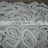Frozen Squid Ring-Todarodes Pacificus thumbnail-2