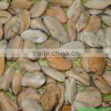 Chair de Moule Congele Dans la Mer thumbnail-1