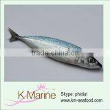 Frozen Seafood and Fish Frozen Mackerel thumbnail-1