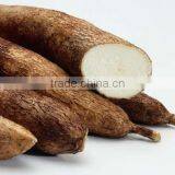 Native tapioca starch High Quality Tapioca Flour