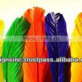 Colourful Website Design and Development thumbnail-1