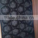 Plastic Packaging Tray With Holes Black thumbnail-6