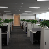 Guangzhou Nicely Electronic Co.,Ltd company overview - view 1 thumbnail