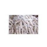 Pure White Garlic(2008 New Crop)