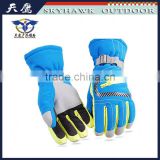 China Cute Winter Leading Factory Mint Ski Glove