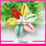 5cm Handmade Sea Shell Shoe Flower Fashion Sandal Shoe Accessories thumbnail-3