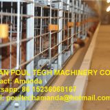 South Africa Chicken Farming Full Automatic H Frame Layer Cage & Chicken Cage & Laying Hen Cage for Egg Production in Chicken Shed