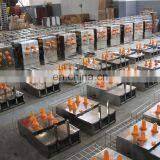 SHIPULE Hot Sale Screw Fruit Juicer/juicer Extractor Machine/slow Juicer Extractor thumbnail-5