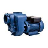 HGM Series 1.5HP Monoblock Water Pump