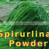 Healthy Spirulina Powder for Sale thumbnail-4