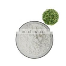 Hight Purity 99% Tea Polyphenols Best Green Tea Extract  Cas.NO 3081-61-6 40% L-Theanine