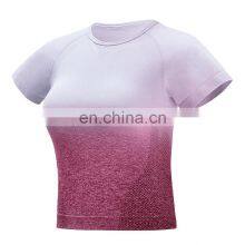 Wholesale Women Seamless Gradient Crop Top Fitness Yoga Top Sports Short Sleeve Yoga Tops thumbnail-4