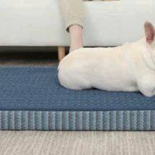 Chaise Lounge Bed thumbnail-2