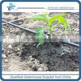 Greenhouse Drip Irrigation for Vegetables Quality Choice thumbnail-1