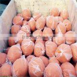 Concrete Pump Accessories Pump Cleaning Ball Cleaning Ball thumbnail-6
