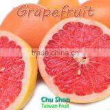 2016 Hot Sale Fresh Grapefruit thumbnail-4