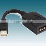 MINI DisplayPort to DisplayPort Converter