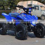 Mini Moto 49cc Two Stroke Pull Start Atv Quads