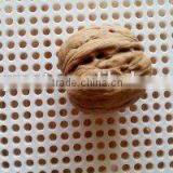 We Are Supply Walnut in Shell With Best Price for Sale thumbnail-4