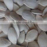 Chinese Green-tea Flavor White Pumpkin Seeds Kernels for Sale