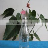 clear beverage container, drinks glass bottle
