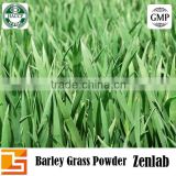 GMP factory barley grass juice powder from barley grass powder organic