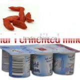 Hot Sale Medlar Fermented Yoghurt