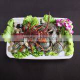 Clear White Black Plastic Tray