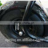 Factory Price Citycoco 2 Wheels off Road Smart City Scooter thumbnail-3