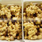 Competitive Price New Harvested Mesh Bag Ginger thumbnail-5