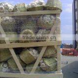 RED AND WHITE GARLIC NEW SEASON thumbnail-4