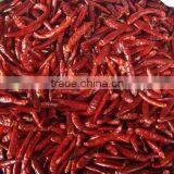Dry Red Chili / Pepper - High Quality From Vietnam thumbnail-1