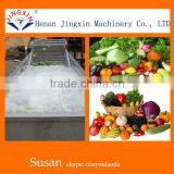 Strawberries, Lettuce, Grapes and Other Fruits Washing Machine