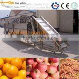 Hot Sale Fruit Grader for Sale