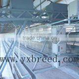 Automatic Chicken Feeder