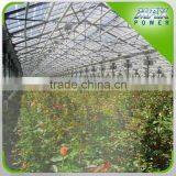 Watering & Irrigation System for Rose Garden thumbnail-3