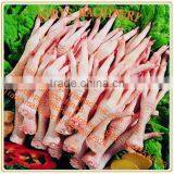 High Effiency Chicken Feet Peeler Machine, Chicken Claw Peeling Machine thumbnail-3